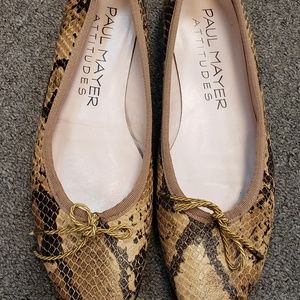 Paul Mayer Attitudes shoe